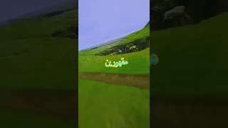 يلي مثل الجبل ماهزتك ريح تصميم فيديوهات Fouryoupage Foryou Fypシ دعمكم لايك واشتراك 