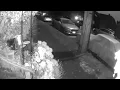 Reader Mailbox prowler