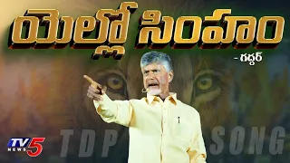 yellow singam tdp new song 2024 chandrababu nalgonda gaddar narsanna tv5 news