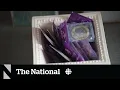 Non-consensual condom removal can be sexual assault SCC rules