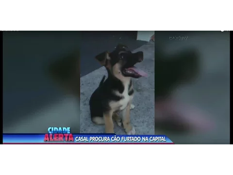 Família procura por cachorro roubado em frente de casa no bairro Jardim Atlântico, em Florianópolis