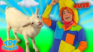 🔴 Tripayasos en Vivo | Música Infantil, Canciones para Niños, Show Infantil y Humor Familiar 🎭🎶