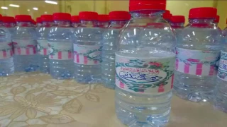 غردت كل الطيور   منال     دندنها