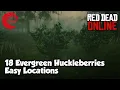 Evergreen Huckleberries Locations rdr2 Online - Red Dead Online Evergreen Huckleberries Location