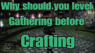 FFXIV Why should you level gathering before crafting