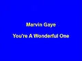 Marvin Gaye - You're A Wonderful One