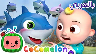 Cocomelon Arabic أغاني كوكو ميلون بالعربي اغاني اطفال ورسوم متحركة أغنية صغير القرش بيبي شارك 