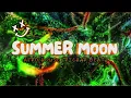 Download Lagu Summer Moon (Afrohouse) 🍁