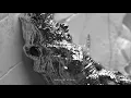 Demon Hunter "Fear is Not My Guide" (Lyric Video)