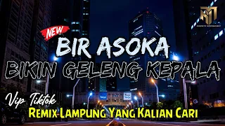 Download BIR ASOKA BIKIN GELENG KEPALA - REMIX LAMPUNG YANG KALIAN CARI ❗ MP3