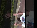 Download Lagu Scary day of my first travel vlog, will never forget , Agar DRONE dub jata me vlog chod deta