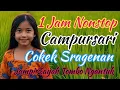 Download Lagu 1 Jam Nonstop Campursari Cokek Sragenan Jampi Sayah Tombo Ngantuk @DalanNdeso 