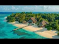 Download Lagu Morning Vibes 🌴 Top 2025 Playlist for a Relaxing Start