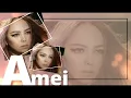 如果你也听说-Ru Guo Ni Ye Ting Shuo [张惠妹-Zhang Hui Mei/A Mei] chi/pinyin lyrics