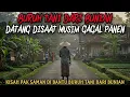 Download Lagu BURUH TANI DARI ALAM BUNIAN, BANTU WARGA YANG GAGAL PANEN - cerita mistis