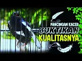 Download Lagu SUARA Pancingan kacer gacor agar emosi tinggi || TEST MENTAL KACER FIGHTER || Kacer Super