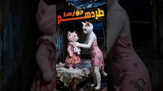 مياو طرد بنته ومراته Cats Aicat Catvideos Funnycatvideos 