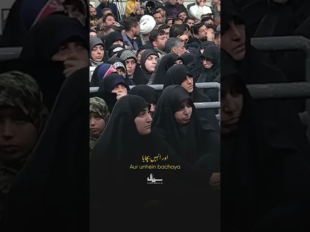 ⁣Aytullah Seestani ki Ahmiyat Rahabar ki zabani #sabeelmedia #motivation #emotional