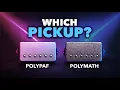 Bare Knuckle Polymath vs Polypaf - Full Set Comparison Bridge Middle Neck