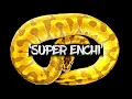 The Amazing Super Enchi Ball Python