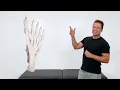 Instant Foot Pain Relief! 5 Exercises To Fix Your Plantar Fasciitis