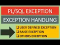 Raise Exception Handling Others Exception Handling