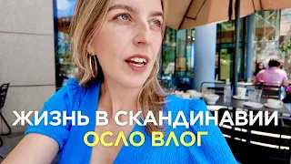 Осло VLOG: однокурсники, дружба во взрослом возрасте, сюрприз-вечеринка