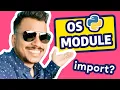 Python os Module Work with Directories