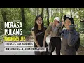 Download Lagu MERASA PULANG - Rute Jalan Pagi - Hiking Lembang - Bandung Utara Kordon Dua Tahura Juanda, Ciburial