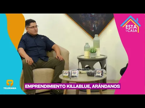 Emprendimiento Killablue, arándanos