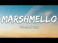 Download Lagu Marshmello, YUNGBLUD, blackbear - Tongue Tied (Lyrics)