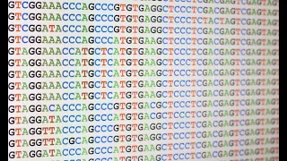 Example of Pairwise Sequence Alignment