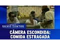 Download Lagu Câmera Escondida (18/12/16) - Comida Estragada