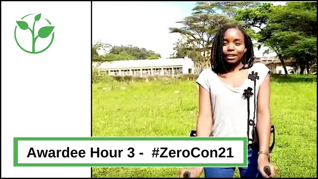 Awardee-Hour: Short Video of the Zero Project Awardees 2021, part 3