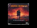 Download Lagu Nene - Nangu Umakoti (DJ Thirlo \u0026 DJ Nalla House Remix) 2025