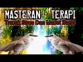 Download Lagu terapi dan masteran trucukan stres dan macet bunyi - pancingan emosi agar bunyi dan gacor