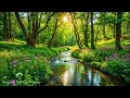 Download Lagu Nature’s Most Relaxing Soundtrack 🌿 Healing Relaxing Music for Stress, Calming Music for Peace