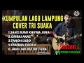 Download Lagu lagu Lampung full album cover tri suaka➡️Lagu Lampung paling enak didengar
