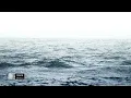 Shallou - Gone