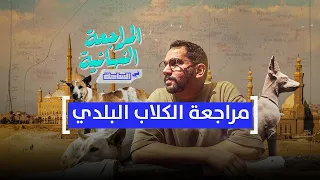 المراجعة النهائية في الساحة مراجعة الكلاب البلدي 