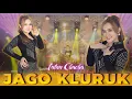 Download Lagu Intan Chacha - Jago Kluruk | Duta Nirwana Music [OFFICIAL]