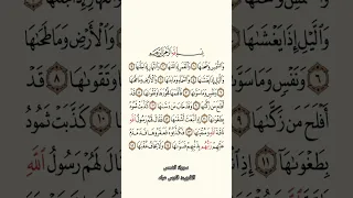 سورة الشمس بصوت القارىء فارس عباد 