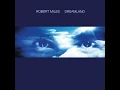 Robert Miles   Fable Dream Version