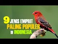 Download Lagu 9 JENIS EMPRIT PALING POPULER DI INDONESIA