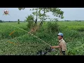 Download Lagu SERU NIH❗Ternyata ngumpul disini gabusnya•Mancing getek gabus/mampir haruan