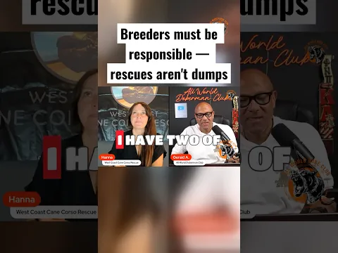 Breeders must be responsible — rescues aren't dumps | Guest Hannah @West_Coast_Cane_Corso_Rescue