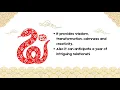 CNY 2025 Story of Chinese Zodiac 2025 part 2