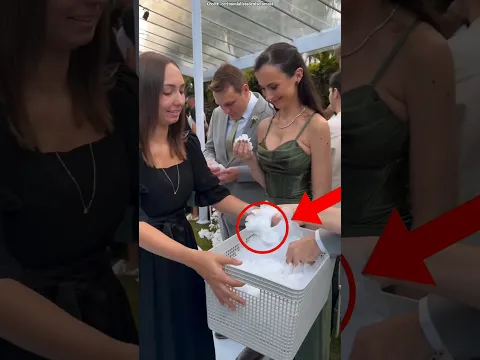 wedding