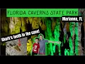 GUIDE to Florida Caverns State Park Marianna Florida WE Found Shark s TEETH in the CAVES