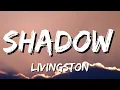 Livingston - Shadow